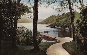 Irlanda del Sur: Isla Garinish, Parknasilla, Condado de Kerry (foto a color)