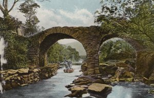 Irlanda del Sur: The Old Weir Bridge (Shooting the Rapids), Killarney (foto a color) de Photographer Irish