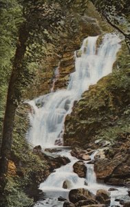 Irlanda del Sur: Torc Cascade, Killarney (foto a color) de Photographer Irish