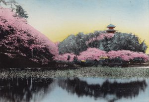 Japón, c.1912: Sankeiyen, Jardín Privado del Sr. Hara, Honmoku, Yokohama