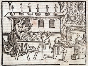 Medicina a través de las plantas y sus virtudes - en “Des profits champêtres et ruraux” por Pierre de Crescent, París de Piero da Crescentino
