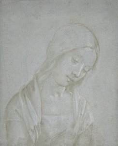 Busto de una joven, ca. 1495 de Piero di Cosimo.