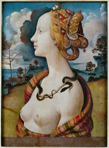 Retrato de mujer, llamado de Simonetta Vespucci de Piero di Cosimo