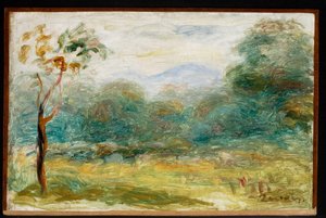 Paisaje del sur de Francia (Cagnes-sur-Mer)