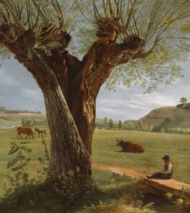 Pollard Willow, después de 1804 (óleo sobre papel, montado sobre lienzo) de Pierre Jean Boquet