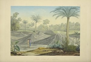 Volcanes de Aire de Turbaco, grabado por Bouquet, ilustración de 