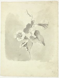 Glorias de la mañana de Pierre Antoine Mongin