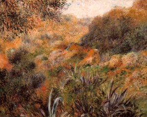 Paisaje argelino, el barranco de la mujer salvaje de Pierre Auguste Renoir