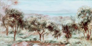 Paisaje, los olivos