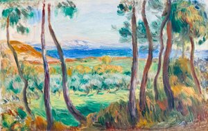 Pinos cerca de Cagnes, c. 1910 (óleo sobre lienzo)