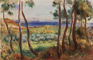 Pinos en los alrededores de Cagnes, c. 1910 de Pierre Auguste Renoir