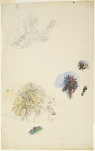 Estudios de árboles y follaje de Pierre Auguste Renoir