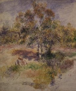 Estudio de un árbol de Pierre Auguste Renoir