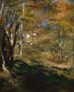 Árboles jóvenes en el bosque de Pierre Auguste Renoir