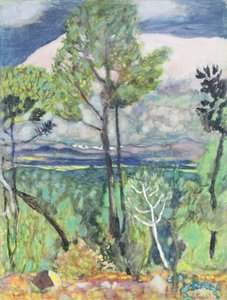 Paisaje