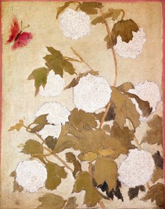 Flores de bolas de nieve