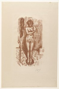 Mujer desnuda de pie se lava
Etude de Nu de Pierre Bonnard