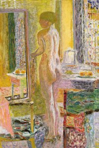 Desnudo Ante un Espejo