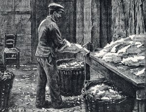 Cuero: hendidura de pieles de conejo para fabricar cuero Grabado de "Excursion a travers les metiers" de Pierre Calmette Colección particular de Pierre Calmettes