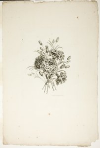 Ramo con claveles, de la Colección de Diferentes Ramos de Flores, inventado y dibujado por Jean Pillement y grabado por P. C. Canot