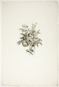 Ramo con peonías, de la colección de diferentes ramos de flores, inventado y dibujado por Jean Pillement y grabado por P. C. Canot de Pierre Charles Canot