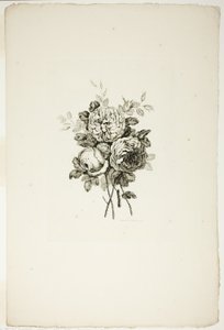 Ramo con rosas, de la Colección de diferentes ramos de flores, inventado y dibujado por Jean Pillement y grabado por P. C. Canot