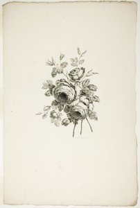 Ramo con rosas, de la Colección de diferentes ramos de flores, inventado y dibujado por Jean Pillement y grabado por P. C. Canot de Pierre Charles Canot