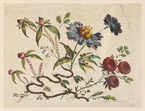 Estampa, Ramas de flores, de "Recueil de Differentes Fleurs de Fantaisie Dans le Goût Chinois". de Pierre Charles Canot