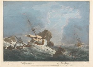 Fucus de Pierre Charles Canot