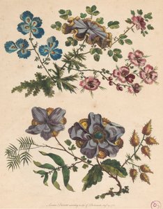 Dos ramilletes de flores imaginarias de Pierre Charles Canot