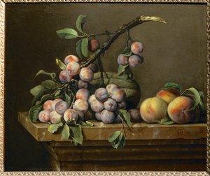 Ciruelas, calabazas y melocotones sobre un entablamento de mármol ...