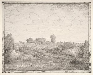 La llanura de la planta en Biau de Pierre Etienne Theodore Rousseau