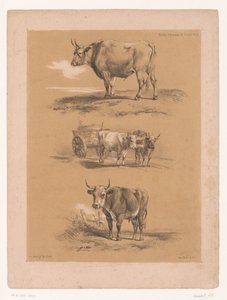 Tres estudios sobre bueyes y carros de bueyes
Estudios sobre animales de Cooper (título de la serie)
Études d
