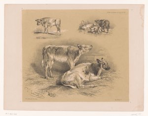 Drie studies van runderen
Dierstudies van Cooper (título de la serie)
Études d