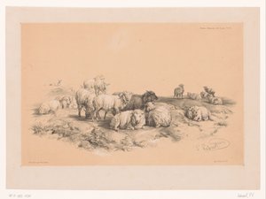 Estudio de un rebaño de ovejas
Estudios sobre animales de Cooper (título de la serie)
Études d