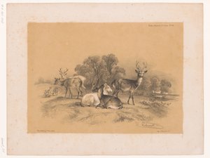 Estudio de una manada de ciervos rojos
Estudios sobre animales de Cooper (título de la serie)
Études d