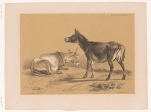 Estudio de dos burros
Estudios sobre animales de Cooper (título de la serie)
Études d