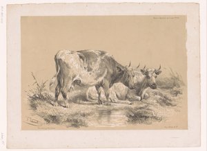 Estudio de dos vacas
Estudios sobre animales de Cooper (título de la serie)
Études d