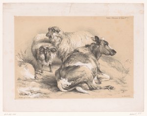 Estudio de dos ovejas y una vaca
Estudios sobre animales de Cooper (título de la serie)
Études d