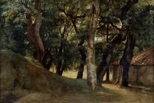 Bosque de la Villa Borghese, finales del siglo XVIII-principios del siglo XIX de Pierre Henri de Valenciennes