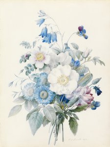 Ásteres azules, rosa spinosissima (híbrida), campanilla, violas, clavel y una rosa silvestre. de Pierre Joseph Redouté