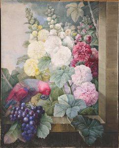 Malvarrosas, uvas y un loro