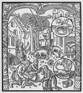 Noviembre, matanza del cerdo y cosecha de bellotas, Escorpio, ilustración del 