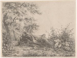 Árbol caído al borde del bosque Cinco pruebas de aguafuerte (título de la serie) de Pierre Louis Dubourcq