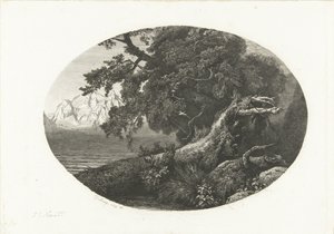 Tronco de árbol desarraigado en la costa