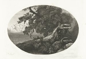 Tronco de árbol desarraigado en la costa