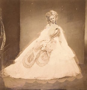 La Bisi. Boudoir, bata de terciopelo gris, moiré rosa, flores rosas, hojas grises de su mai, 1860s de Pierre Louis Pierson