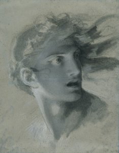 Cabeza de la venganza, c.1804 de Pierre Paul Prudhon