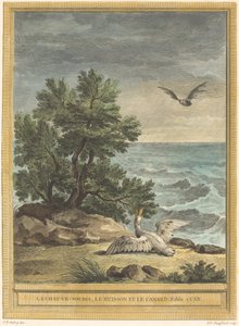 El murciélago, el arbusto y el pato