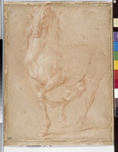 Estudio de caballo de Pierre Puget